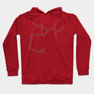 Zodiac Constellations - Sagittarius Hoodie